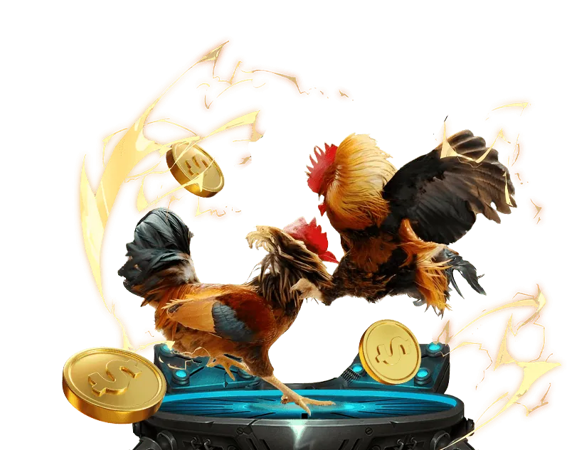 Giá trị cốt lõi của 33wim